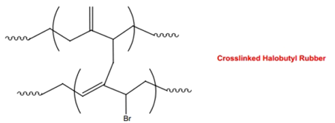 crosslinked halobutyl rubber